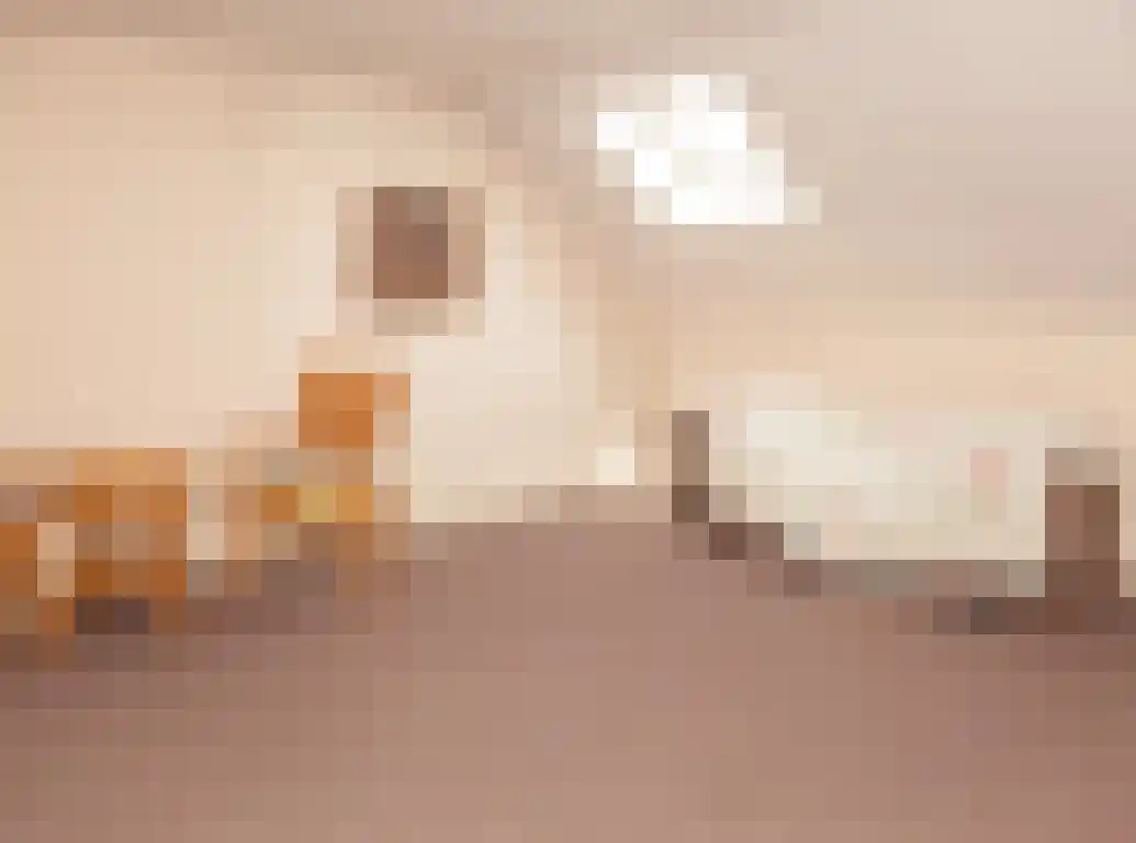 Tolhuislaan 88 Etten-Leur thumbnail 30
