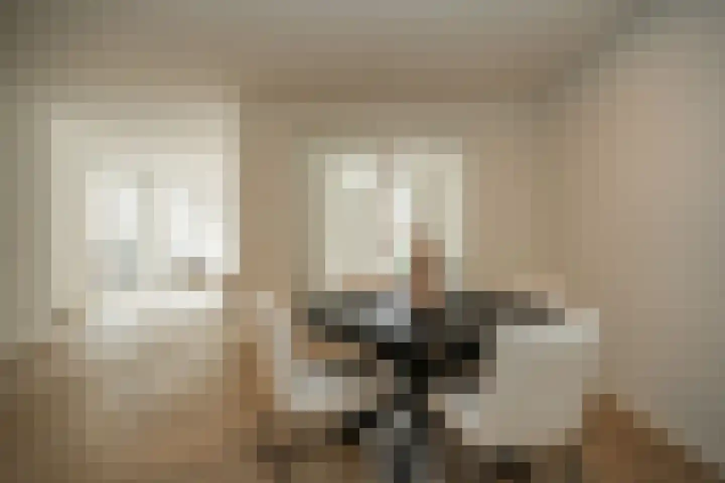 Tolhuisstraat 11 Tiel thumbnail 10