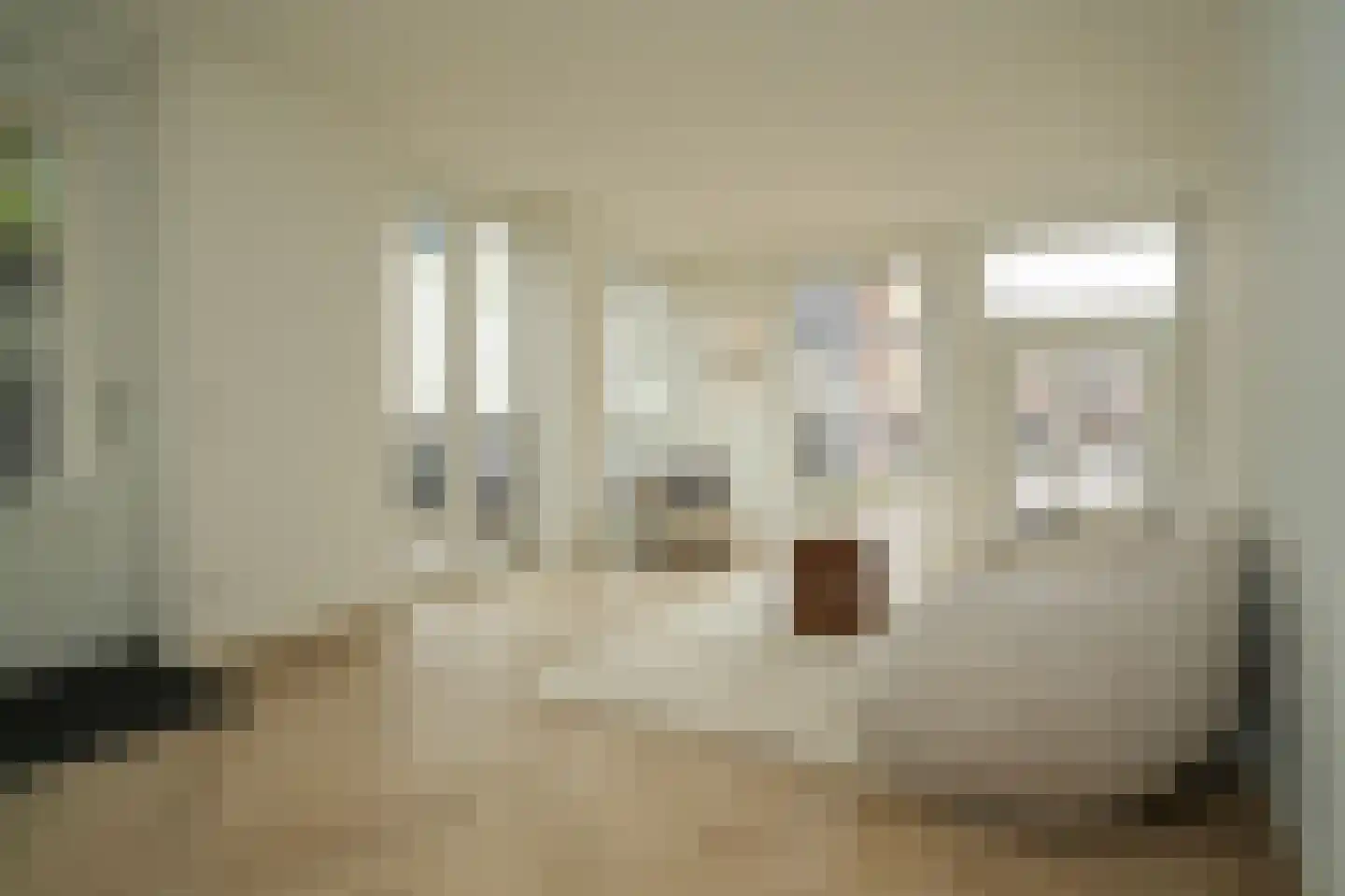 Tolhuisstraat 11 Tiel thumbnail 11