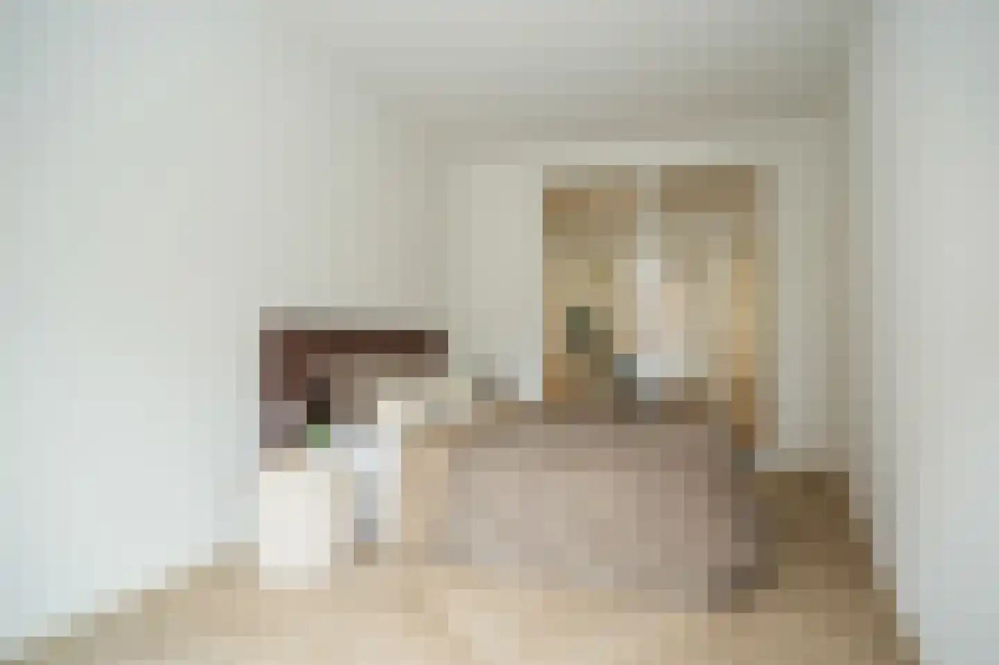 Tolhuisstraat 11 Tiel thumbnail 13
