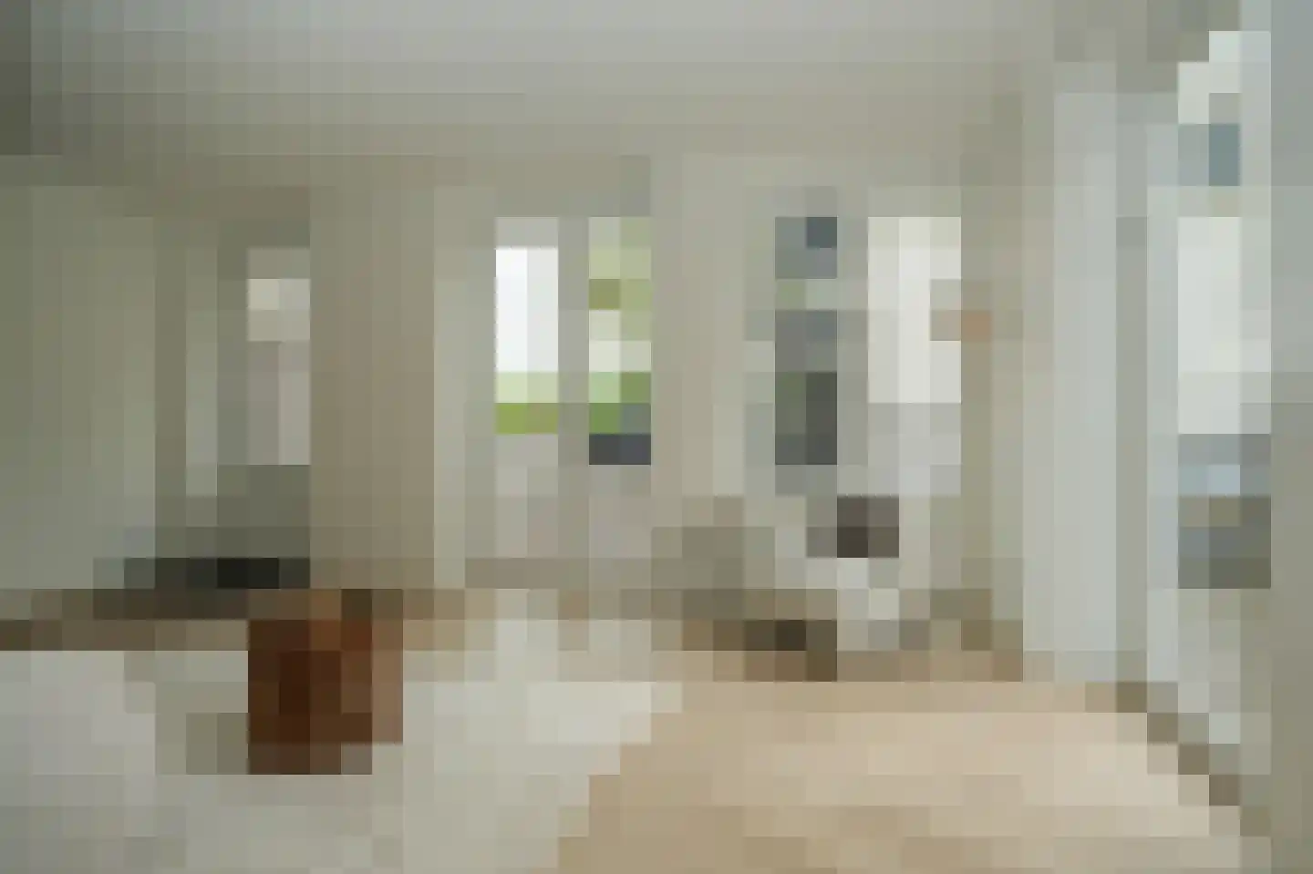 Tolhuisstraat 11 Tiel thumbnail 15