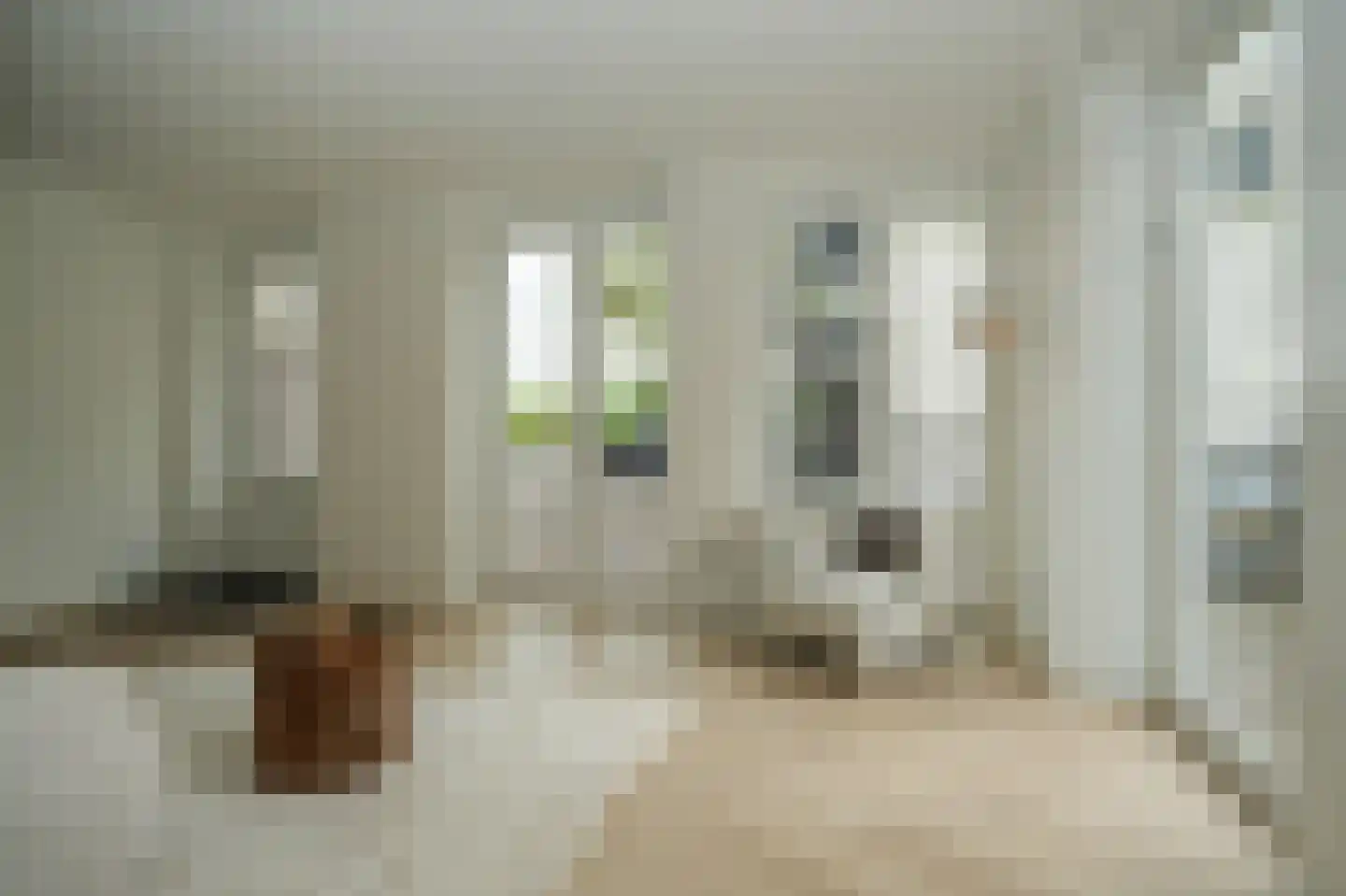 Tolhuisstraat 11 Tiel thumbnail 15