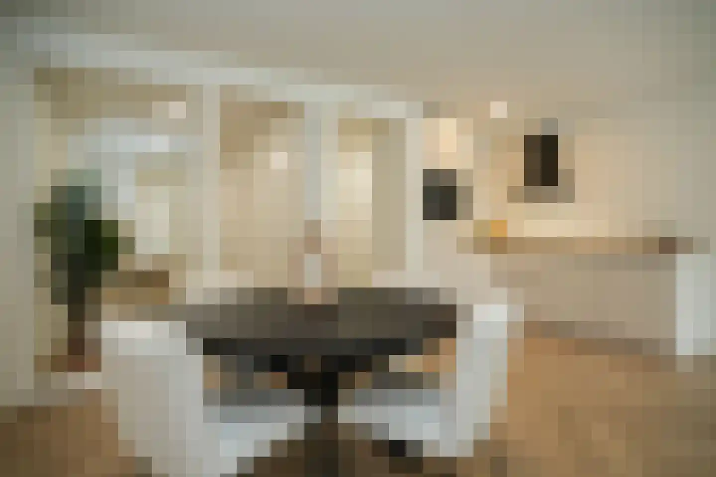 Tolhuisstraat 11 Tiel thumbnail 17