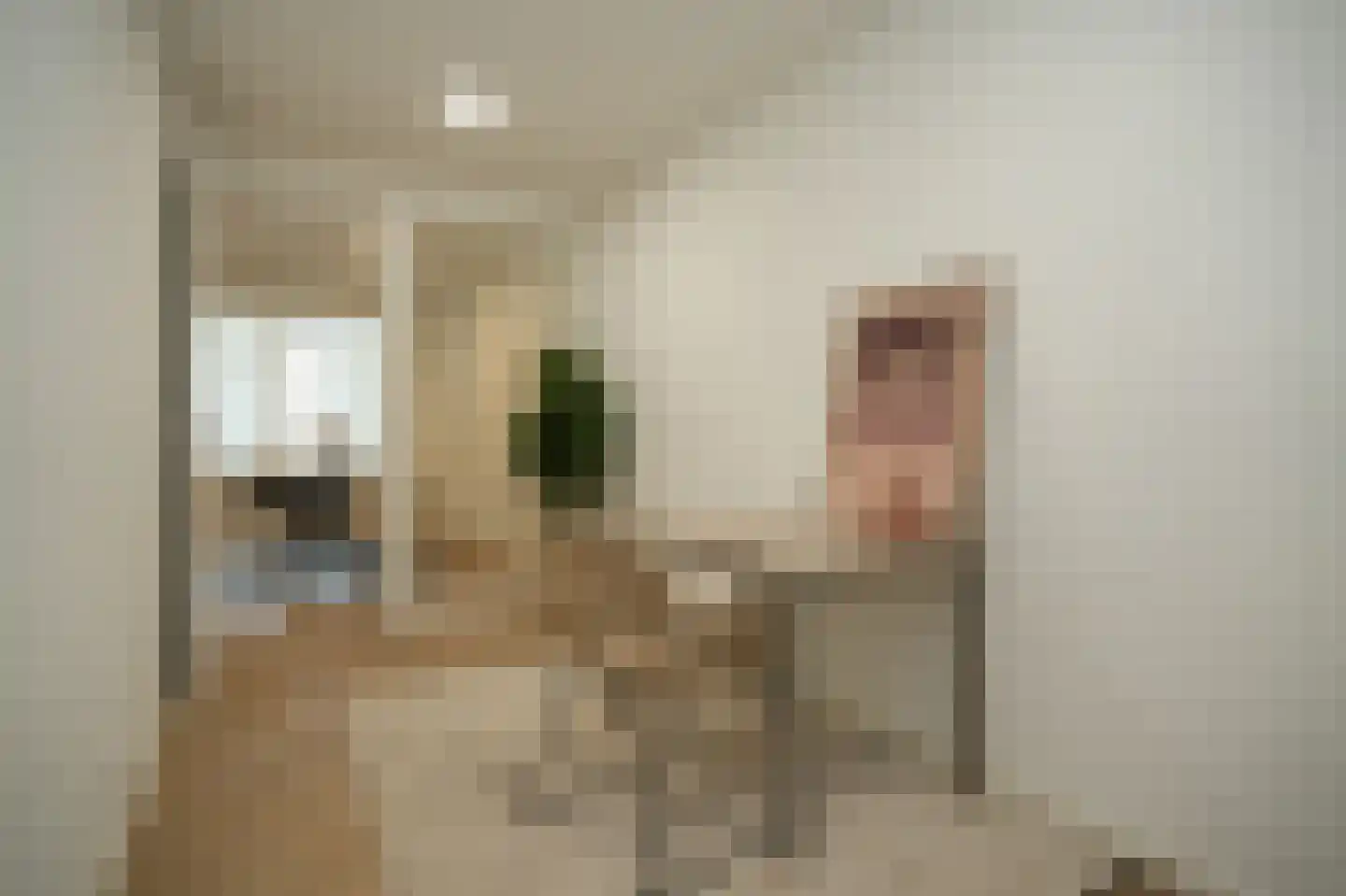 Tolhuisstraat 11 Tiel thumbnail 19