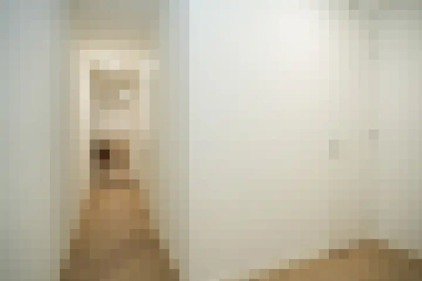 Tolhuisstraat 11 Tiel thumbnail 20