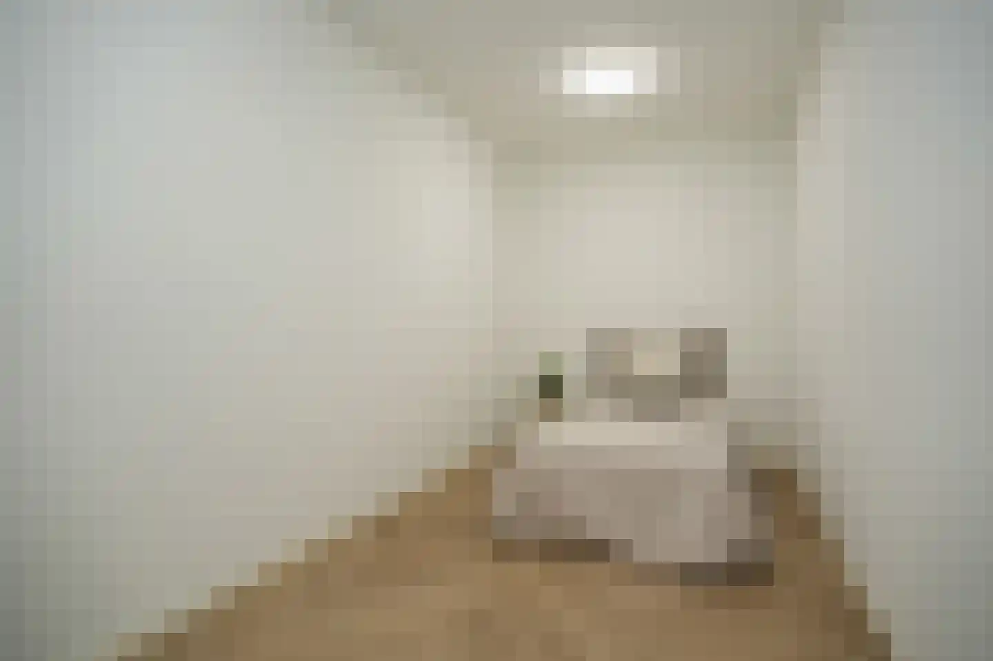 Tolhuisstraat 11 Tiel thumbnail 25