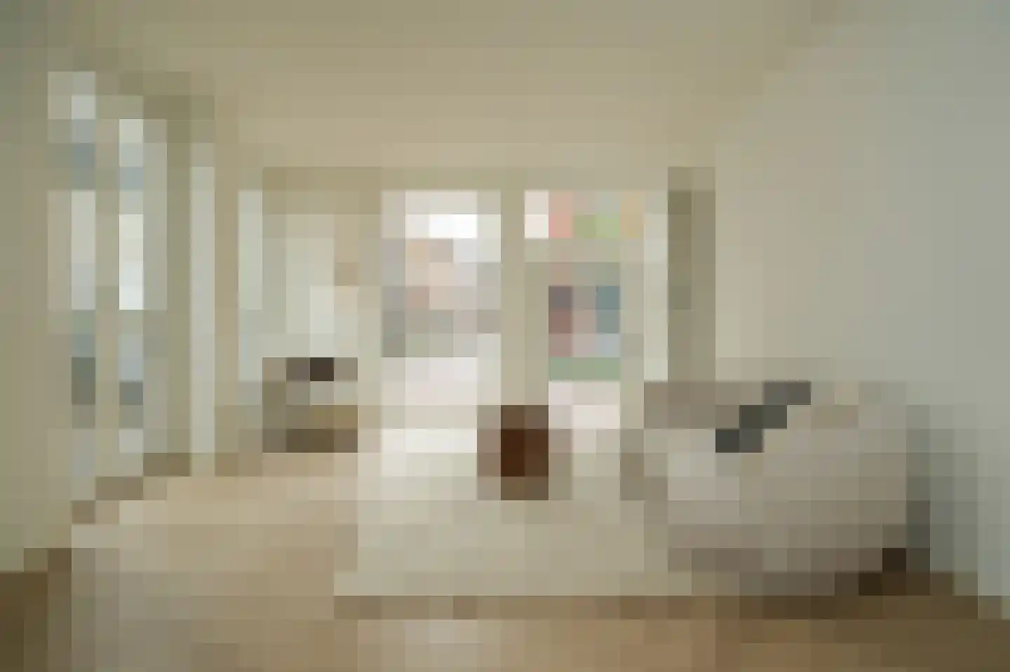 Tolhuisstraat 11 Tiel thumbnail 5