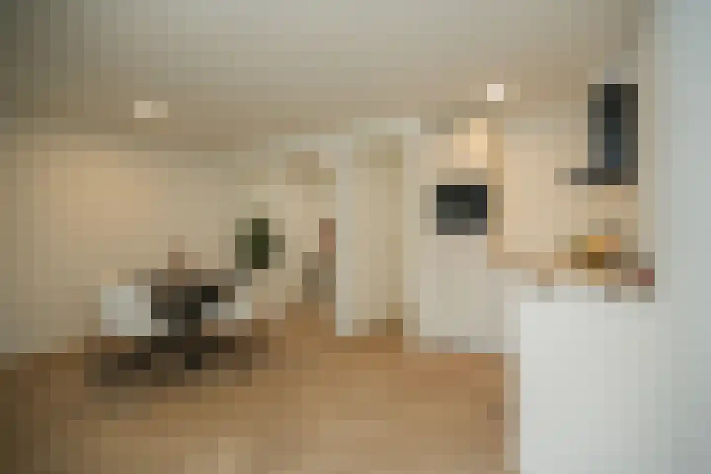 Tolhuisstraat 11 Tiel thumbnail 7