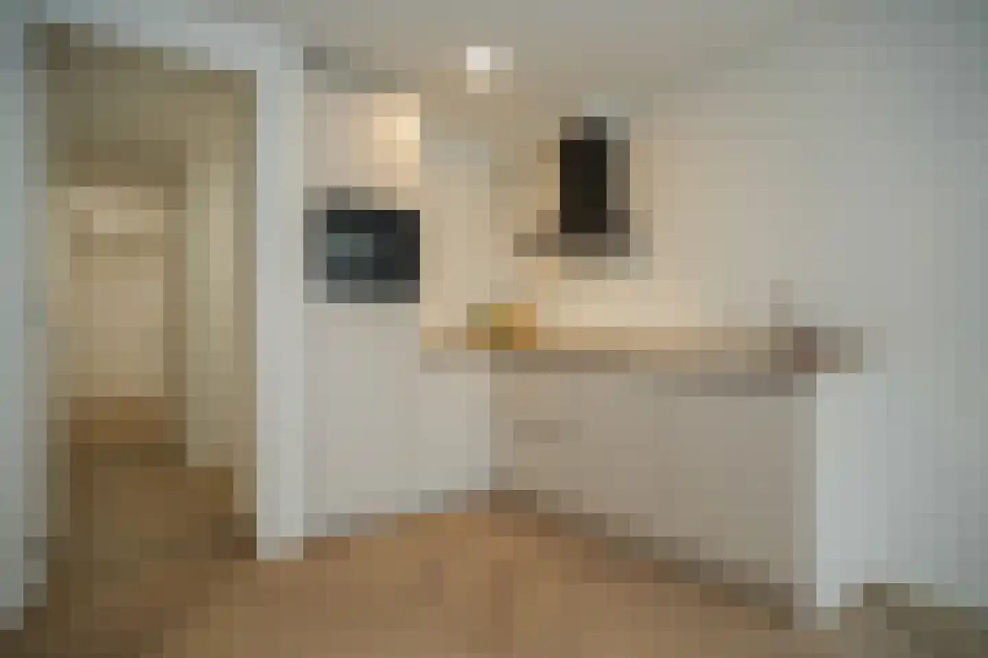 Tolhuisstraat 11 Tiel thumbnail 8