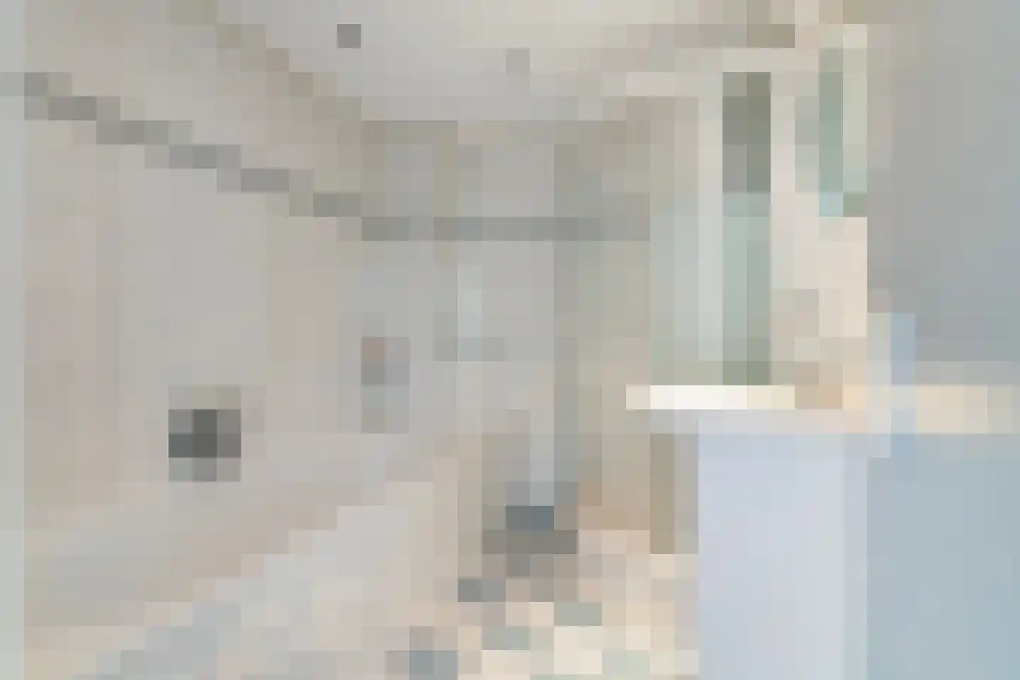 Tolhuisstraat 28 a Lobith thumbnail 20