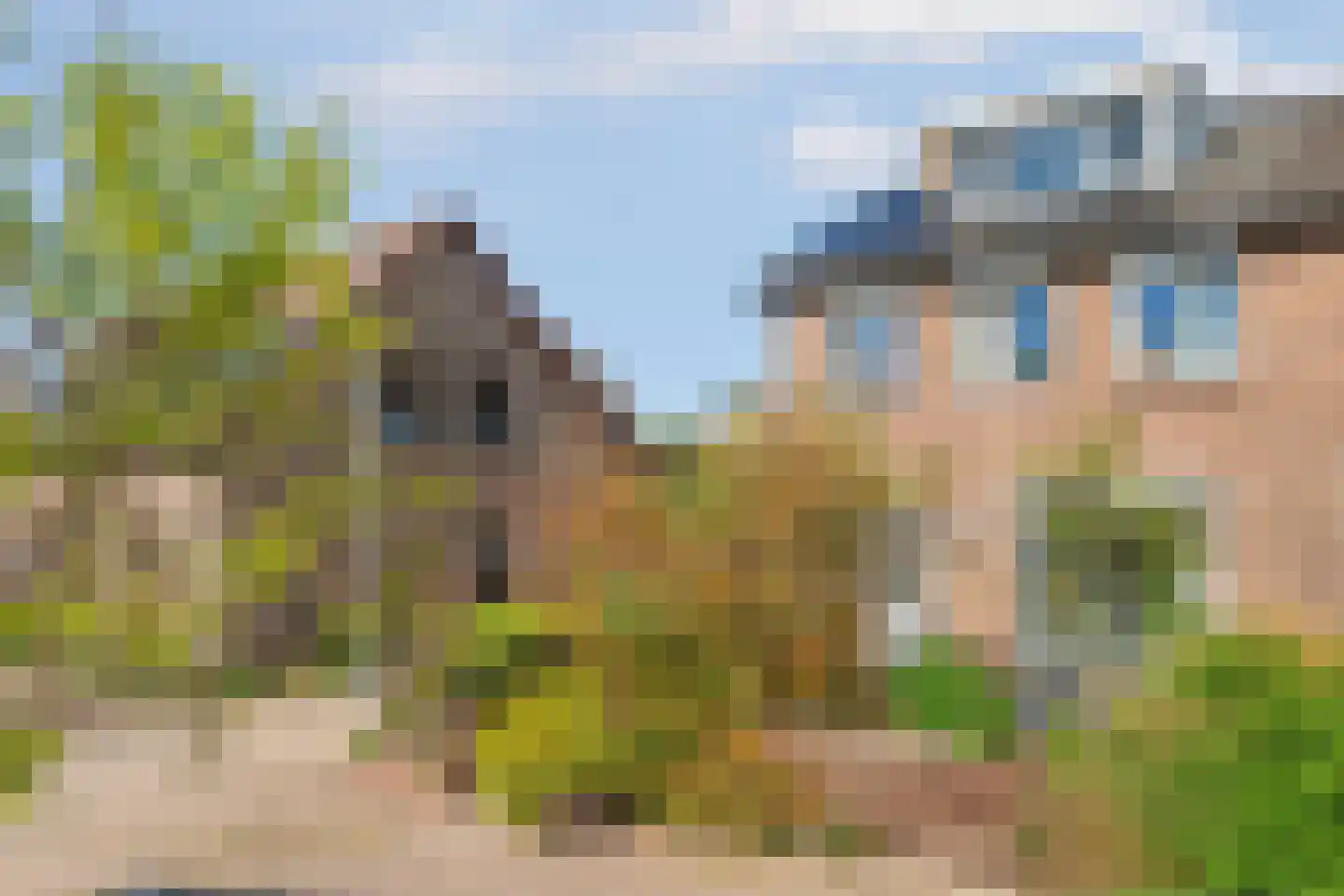 Tolhuisstraat 28 a Lobith thumbnail 33