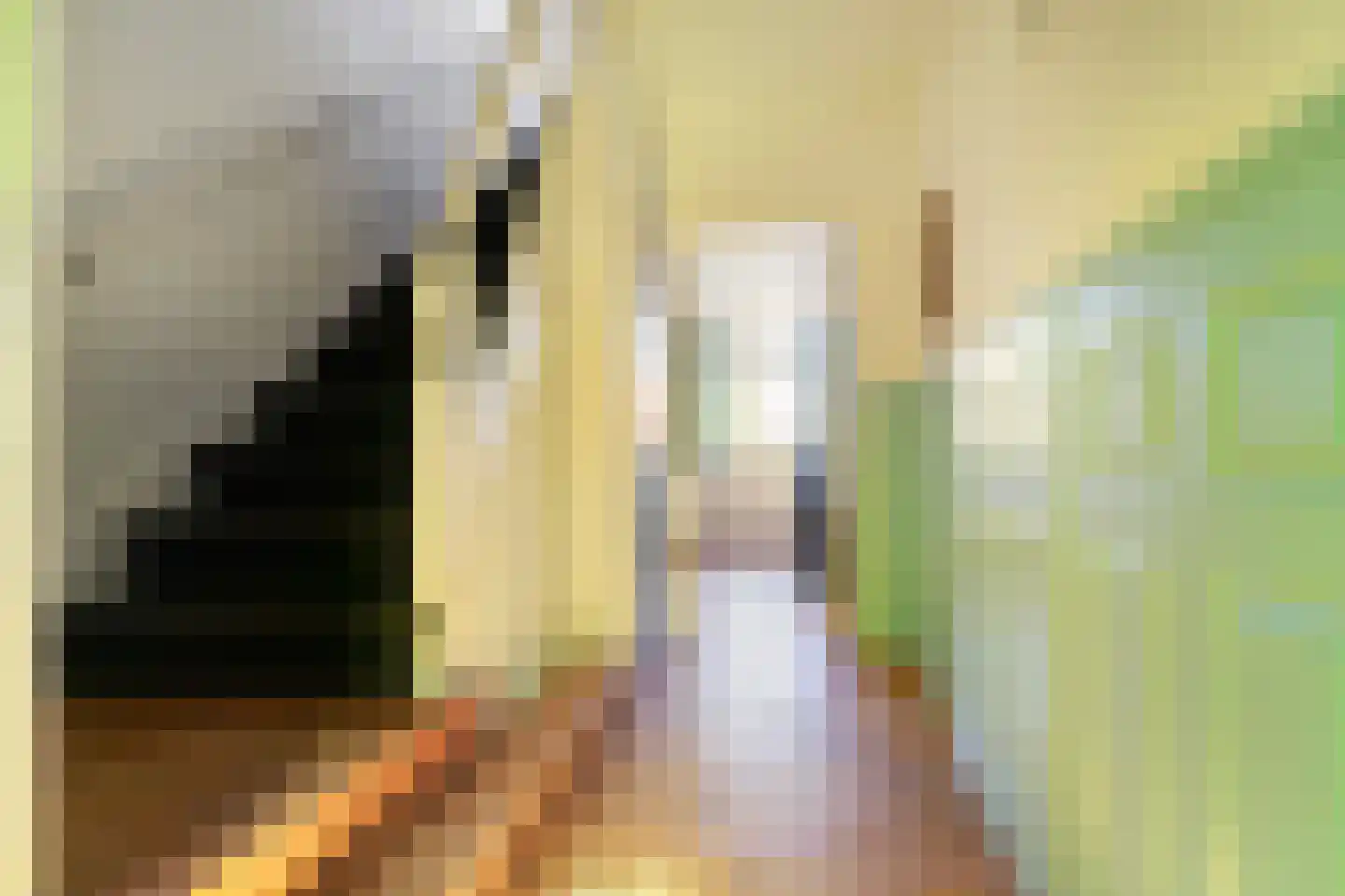 Tolhuisstraat 28 a Lobith thumbnail 7