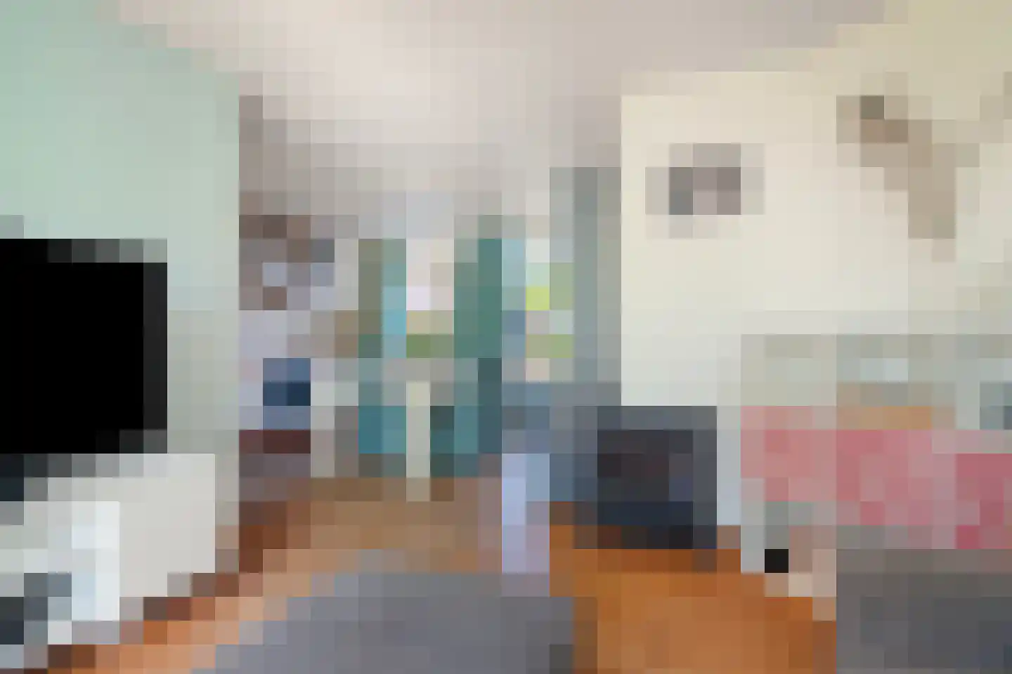 Tolhuisstraat 28 a Lobith thumbnail 9