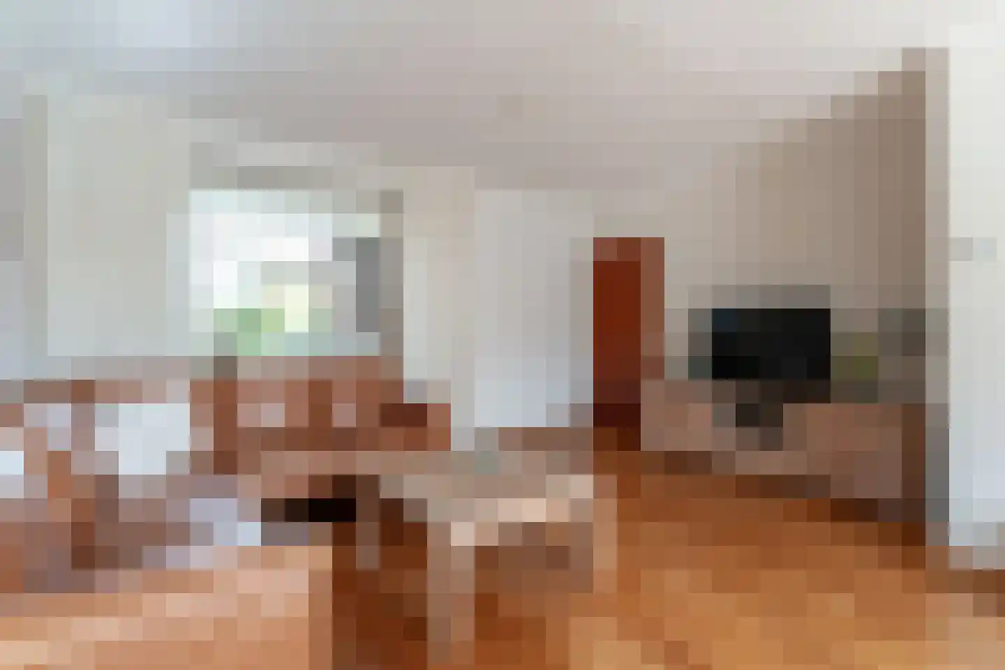 Tolhuisstraat 30 Lobith thumbnail 11