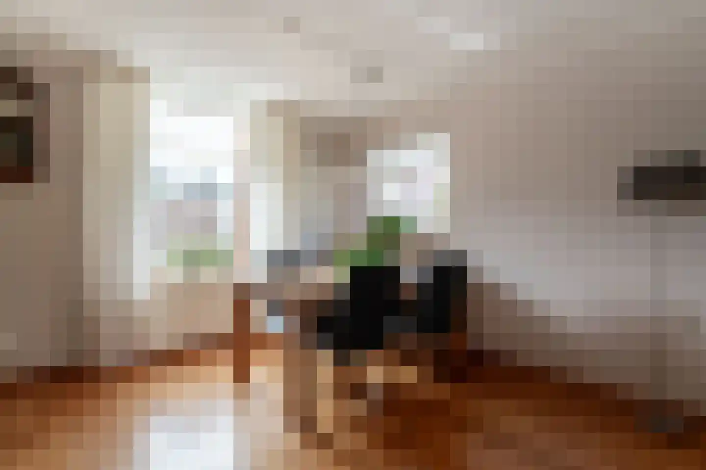 Tolhuisstraat 30 Lobith thumbnail 13