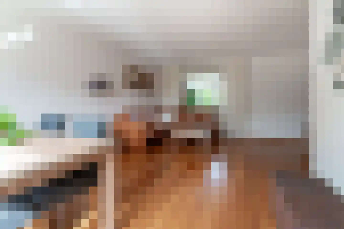 Tolhuisstraat 30 Lobith thumbnail 15