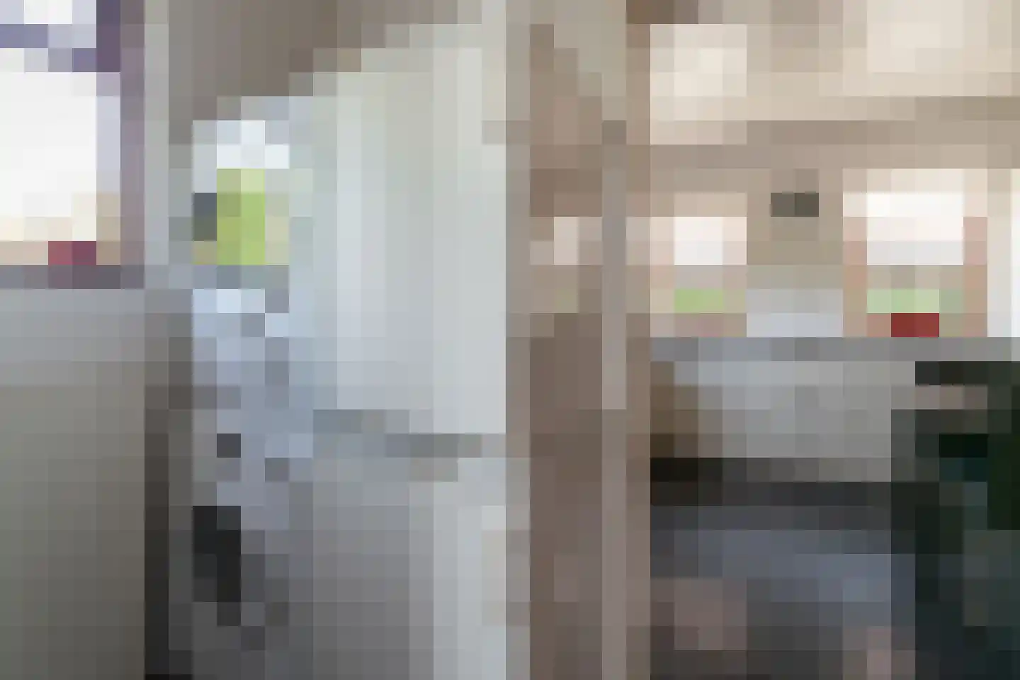 Tolhuisstraat 30 Lobith thumbnail 19