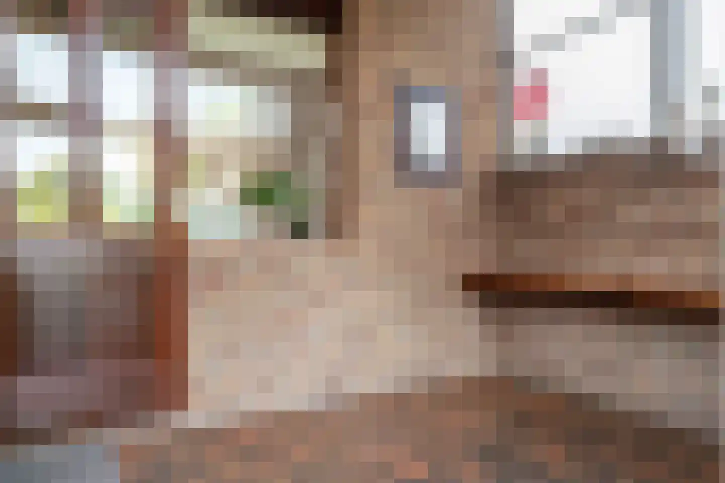 Tolhuisstraat 30 Lobith thumbnail 20