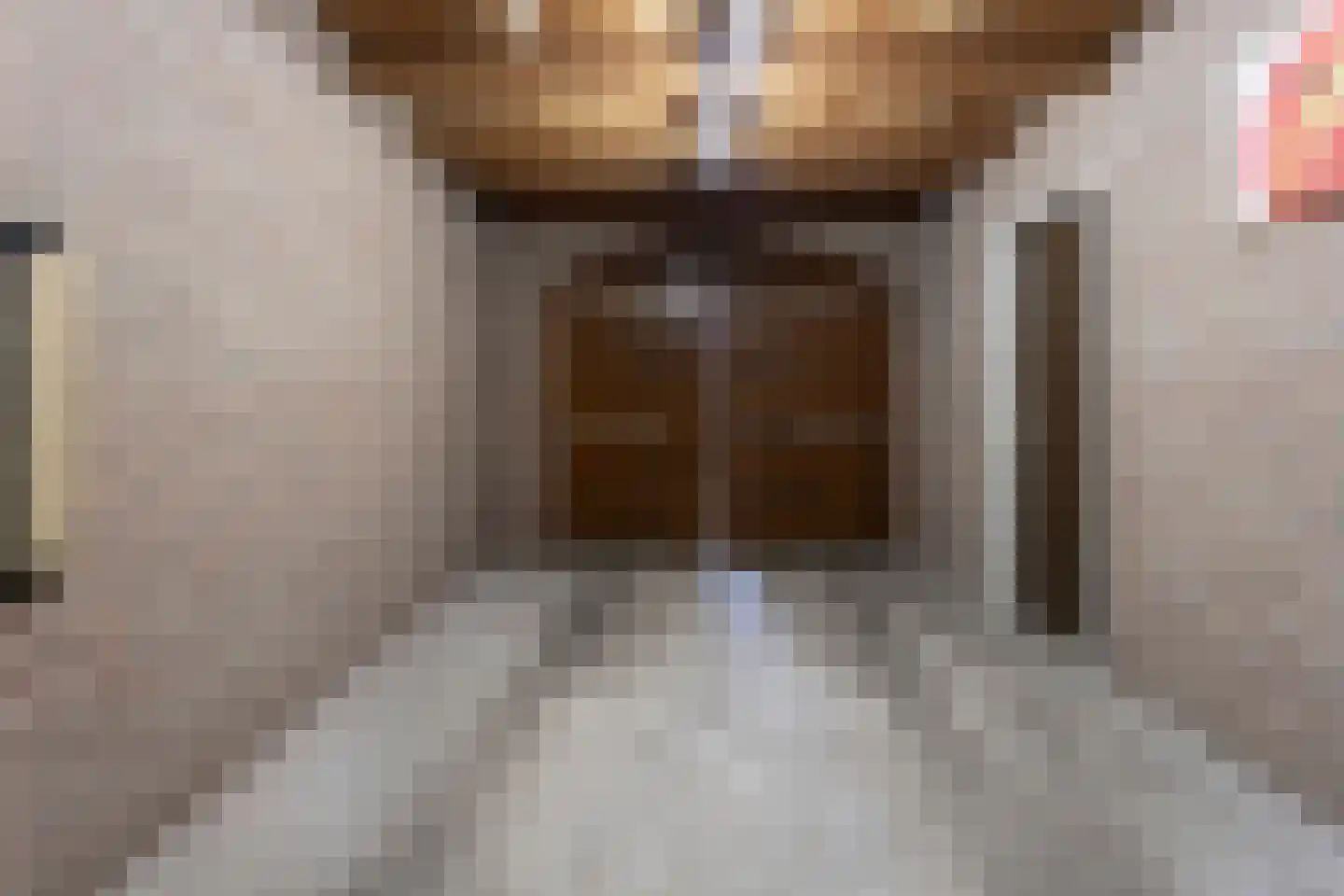 Tolhuisstraat 30 Lobith thumbnail 22