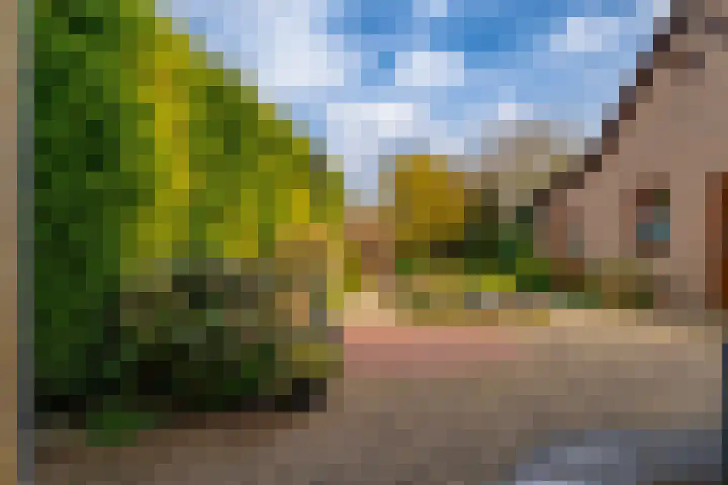 Tolhuisstraat 30 Lobith thumbnail 26