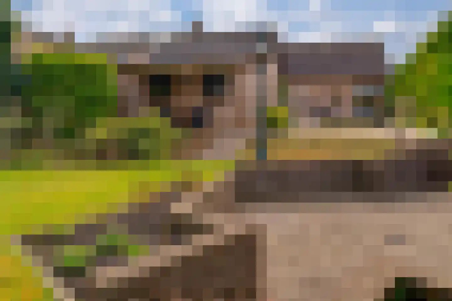 Tolhuisstraat 30 Lobith thumbnail 27