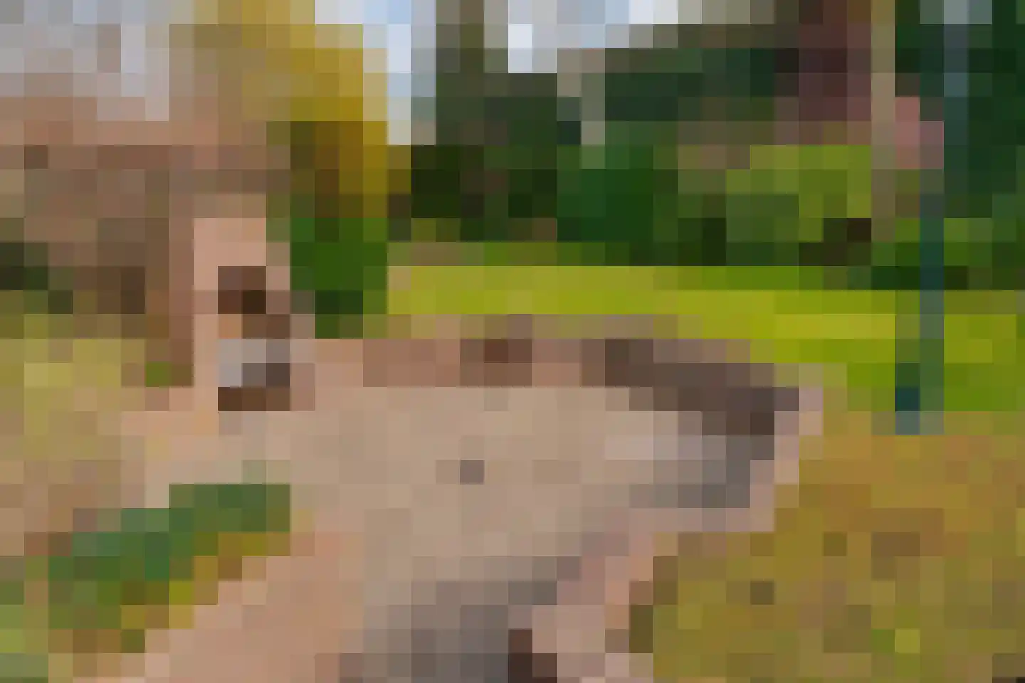 Tolhuisstraat 30 Lobith thumbnail 30