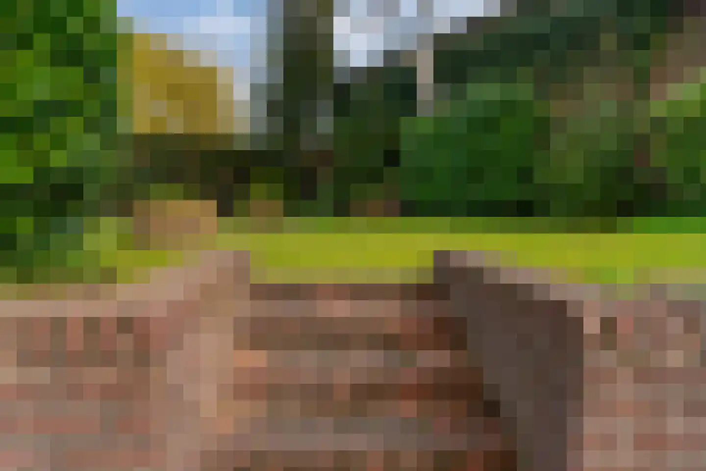 Tolhuisstraat 30 Lobith thumbnail 32