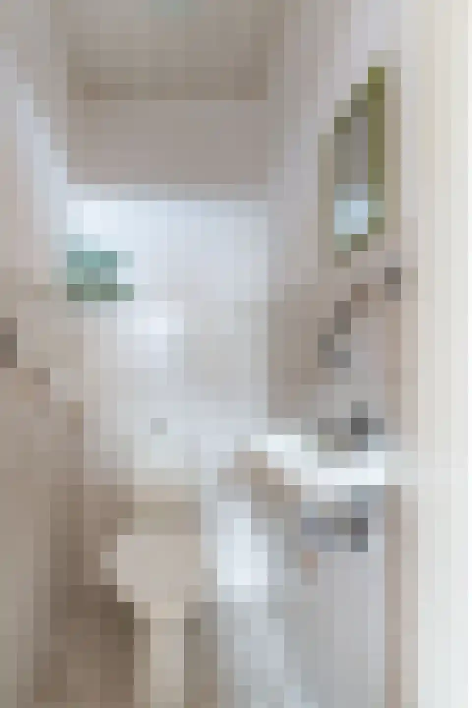Tolhuisstraat 30 Lobith thumbnail 36