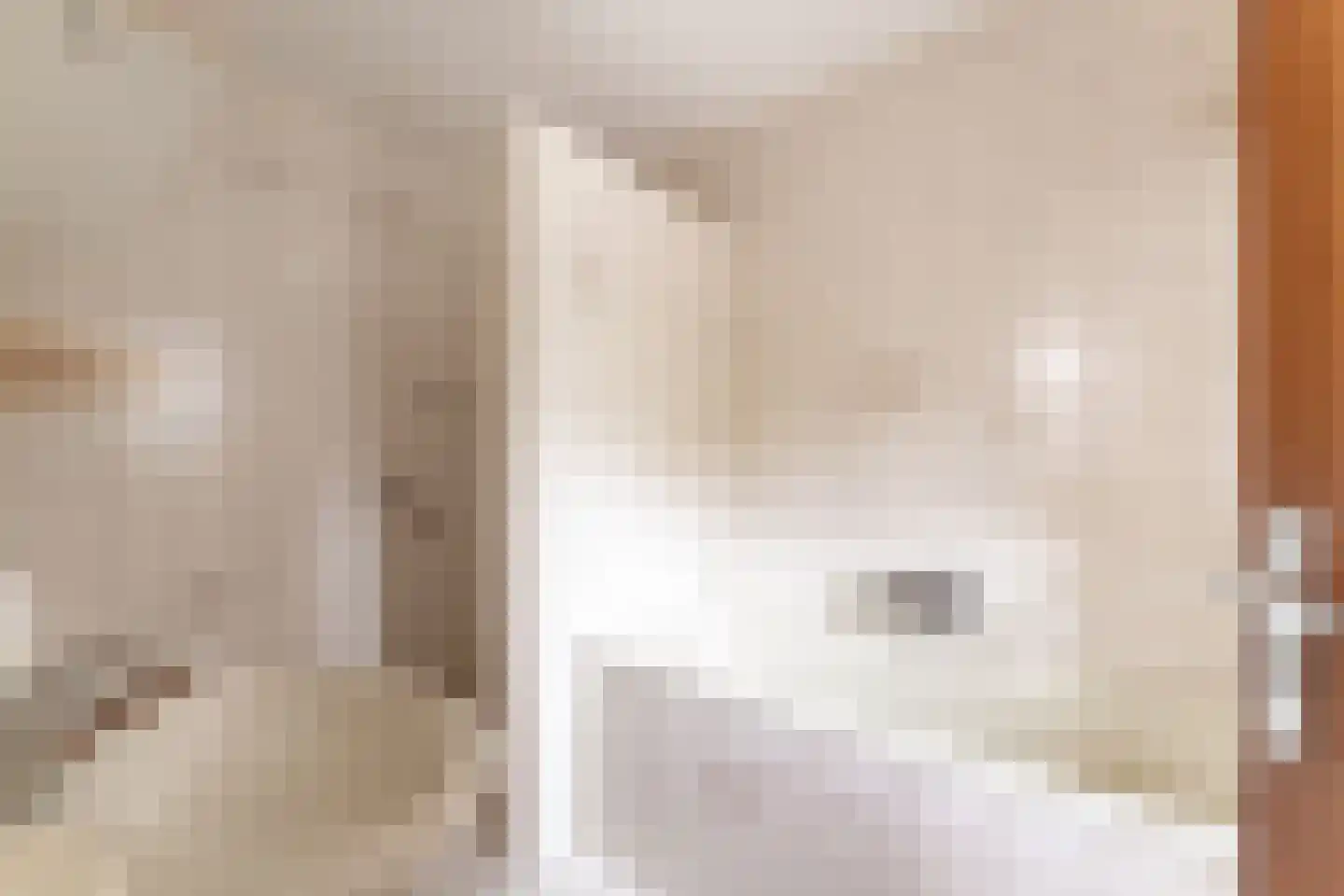 Tolhuisstraat 30 Lobith thumbnail 39