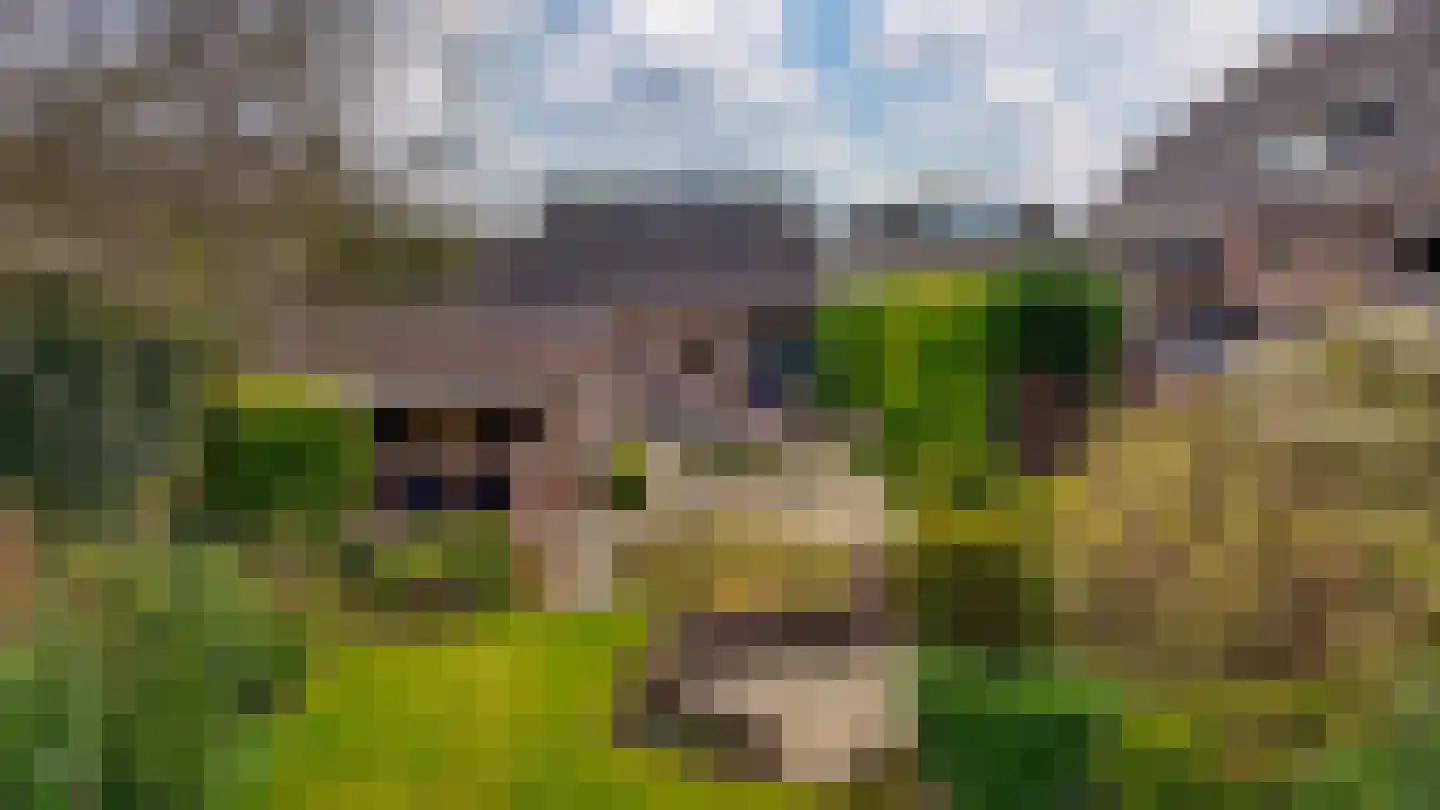 Tolhuisstraat 30 Lobith thumbnail 4