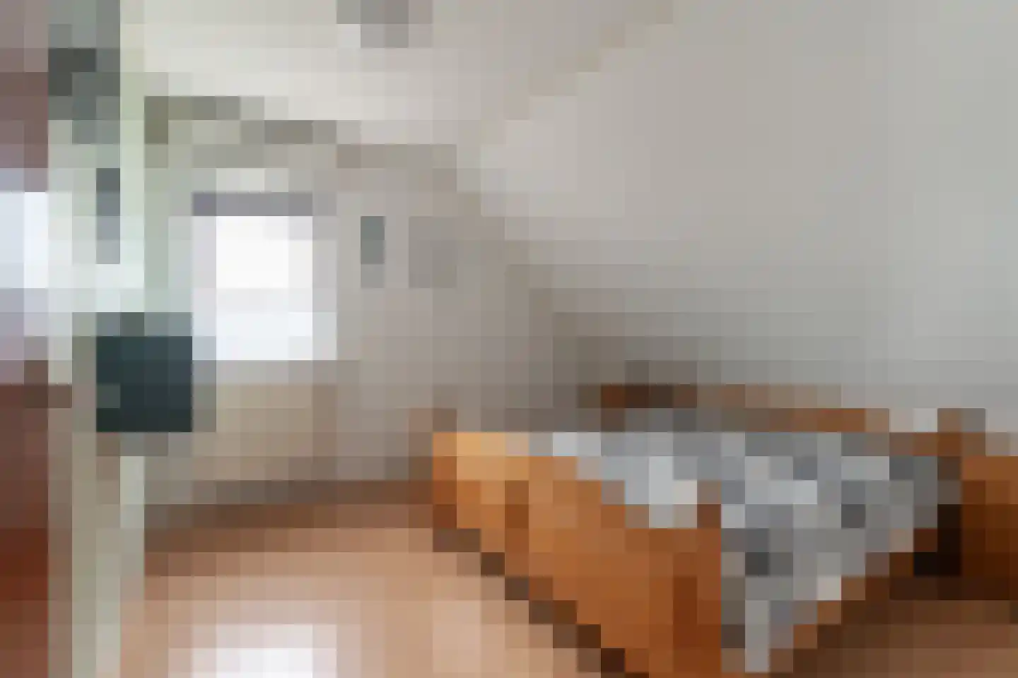 Tolhuisstraat 30 Lobith thumbnail 42
