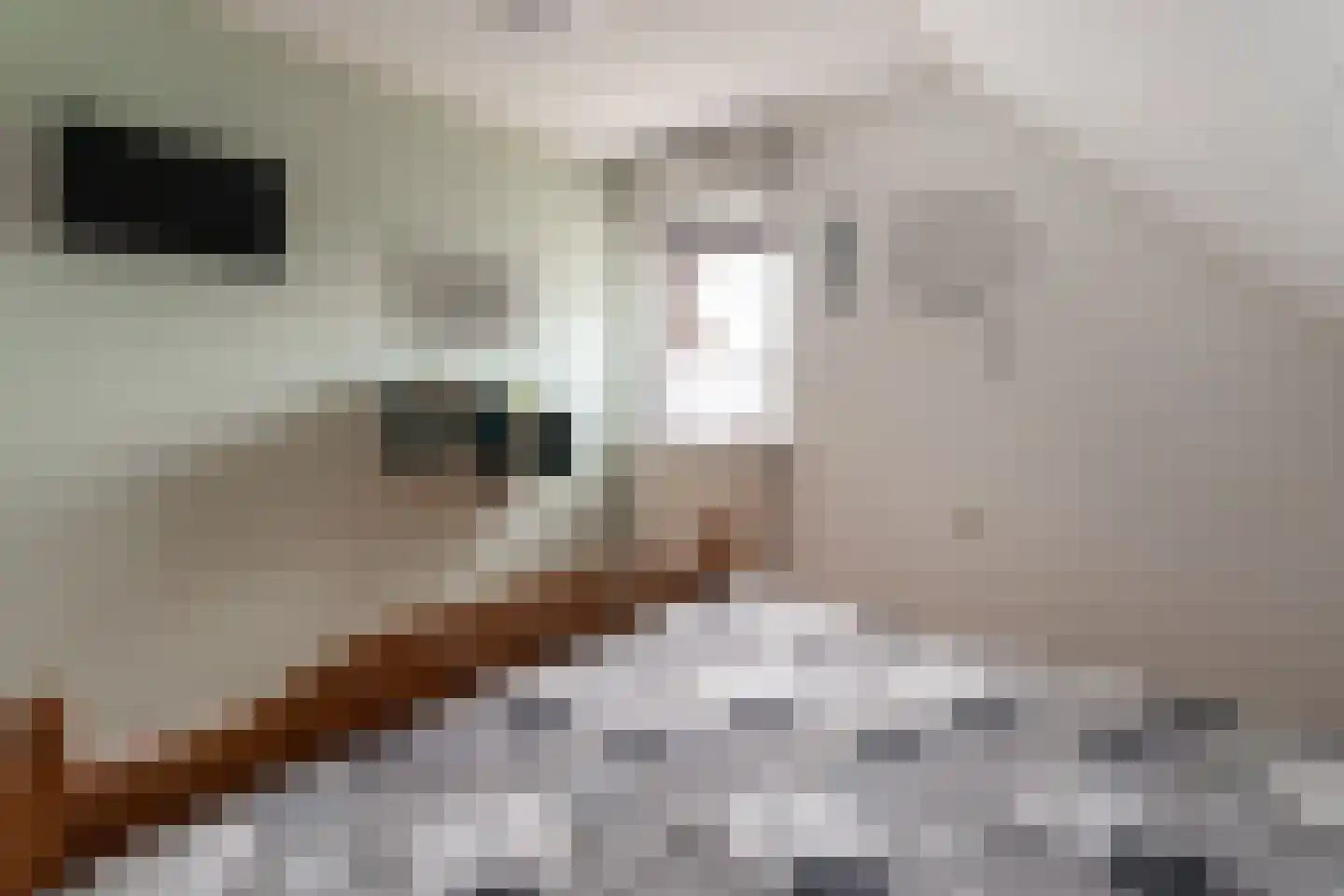 Tolhuisstraat 30 Lobith thumbnail 43