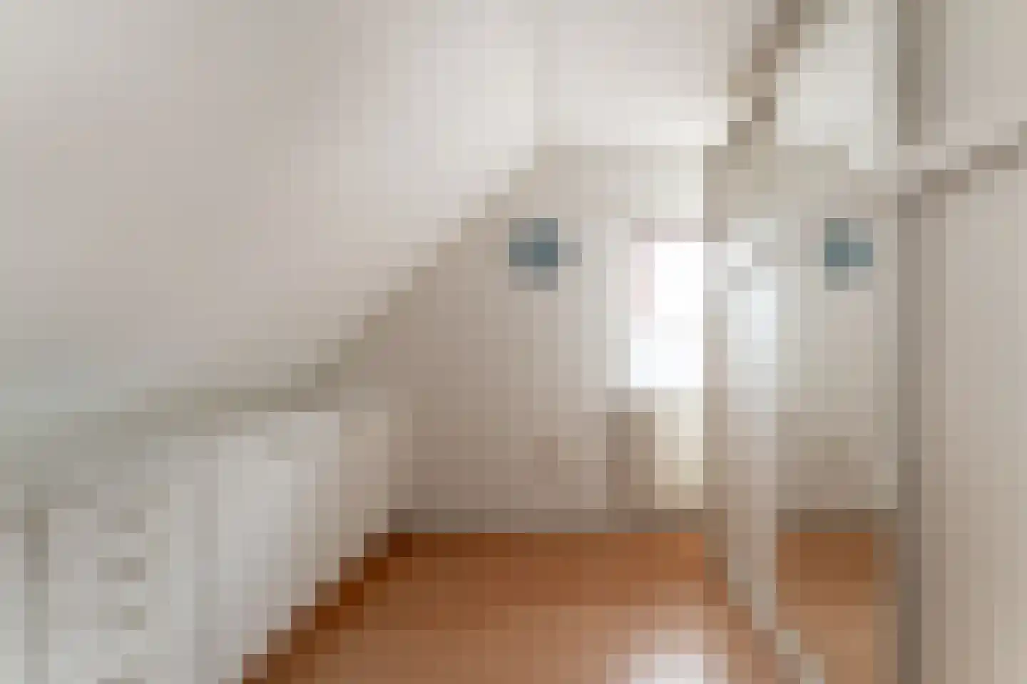 Tolhuisstraat 30 Lobith thumbnail 46