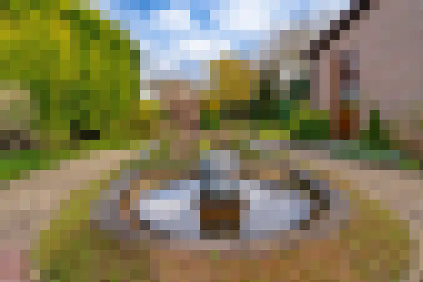 Tolhuisstraat 30 Lobith thumbnail 6