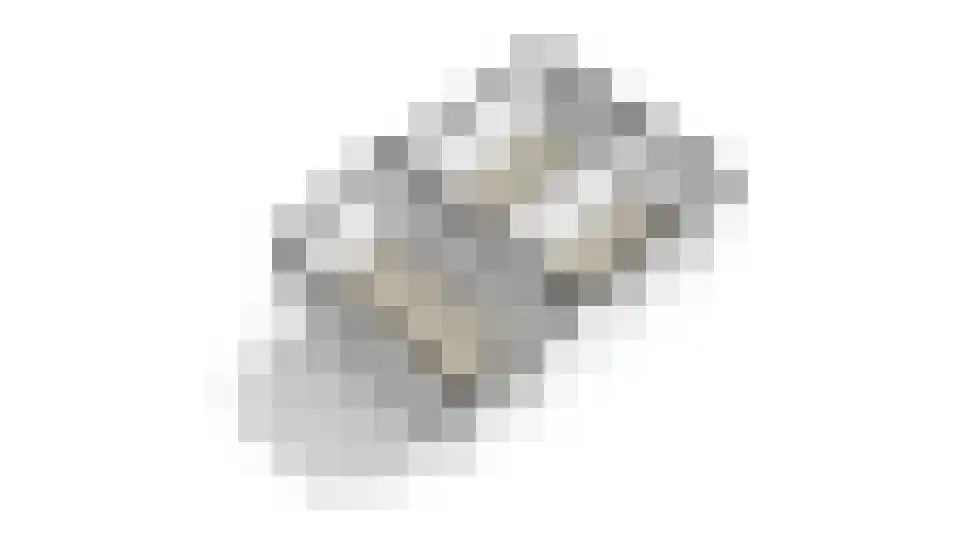Tolhuisstraat 30 Lobith thumbnail 66