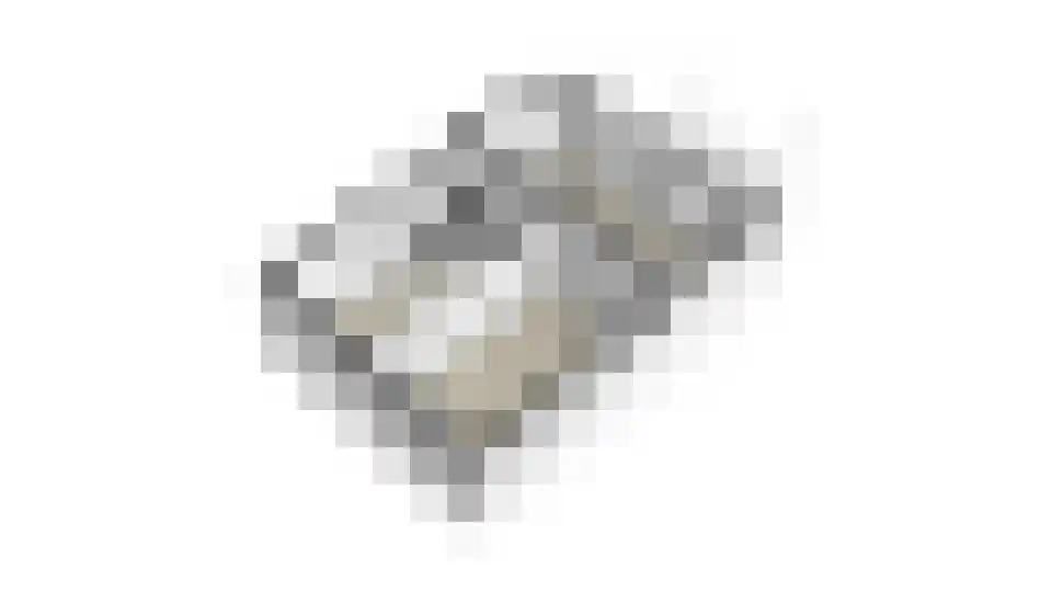 Tolhuisstraat 30 Lobith thumbnail 67