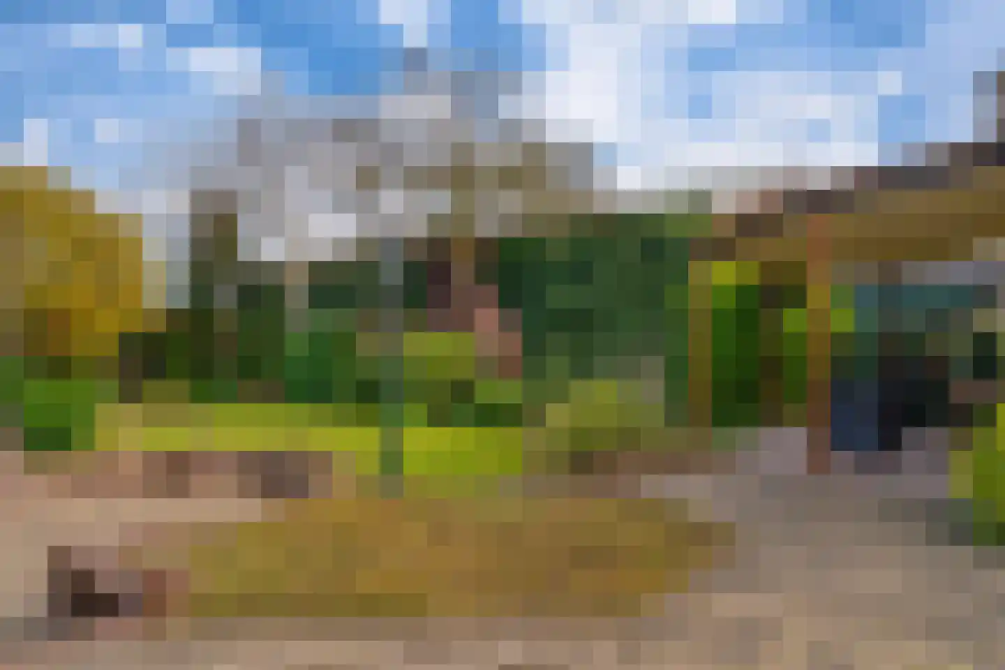 Tolhuisstraat 30 Lobith thumbnail 7