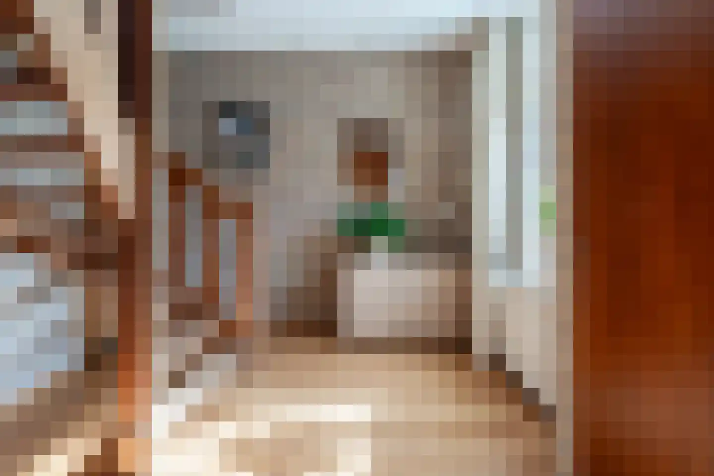 Tolhuisstraat 30 Lobith thumbnail 9