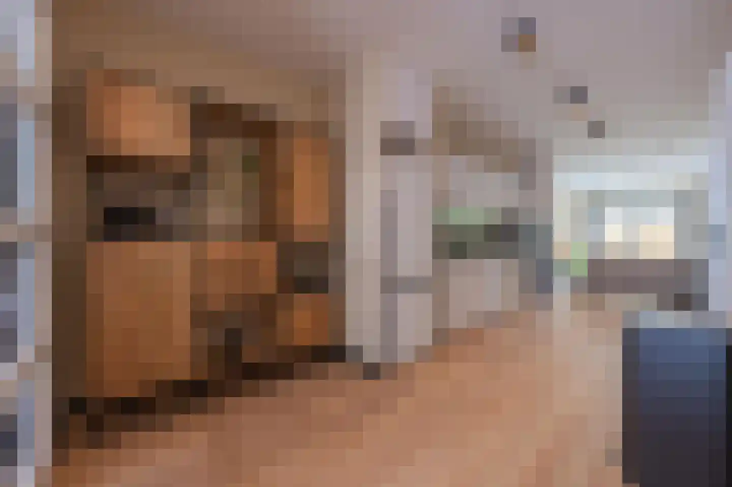 Tolhuisstraat 37 Tiel thumbnail 10