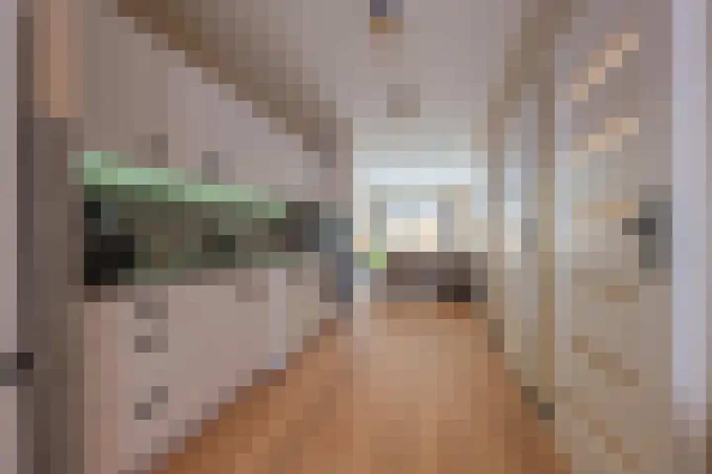 Tolhuisstraat 37 Tiel thumbnail 13