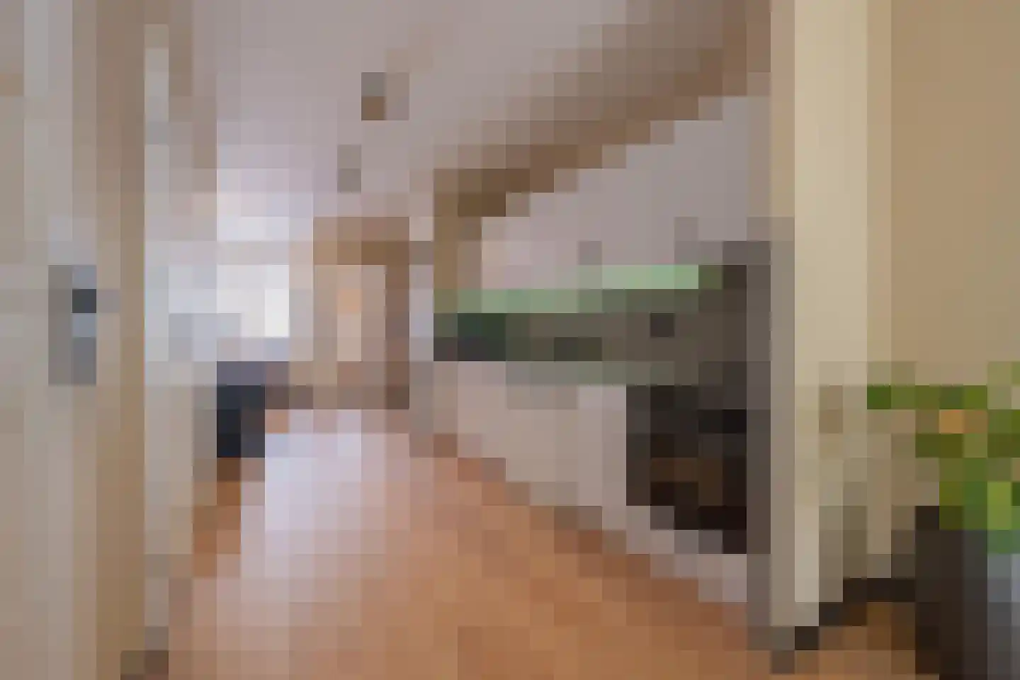 Tolhuisstraat 37 Tiel thumbnail 15