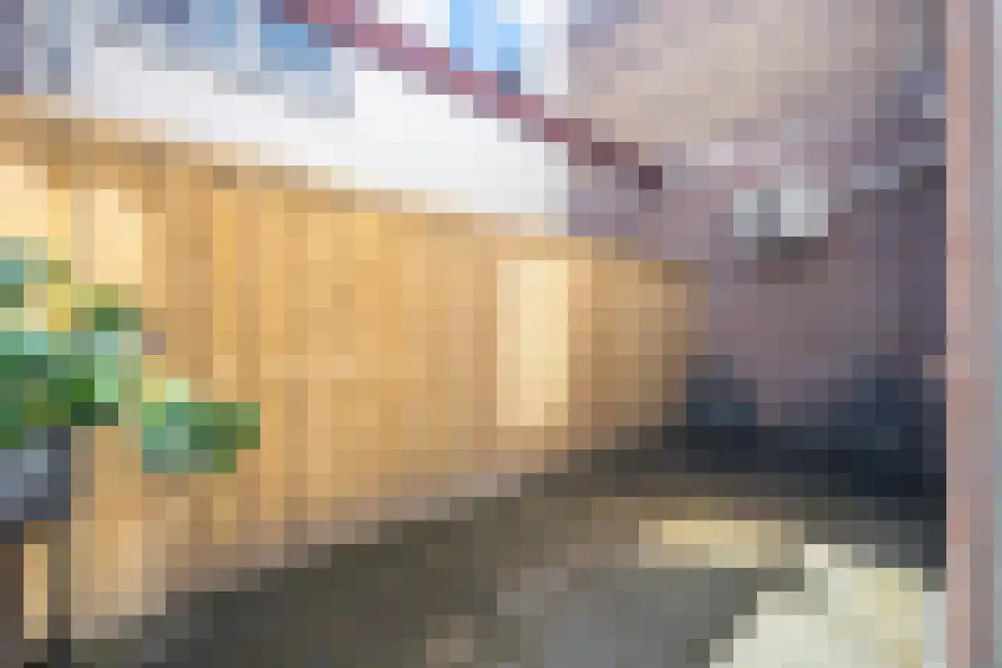 Tolhuisstraat 37 Tiel thumbnail 18