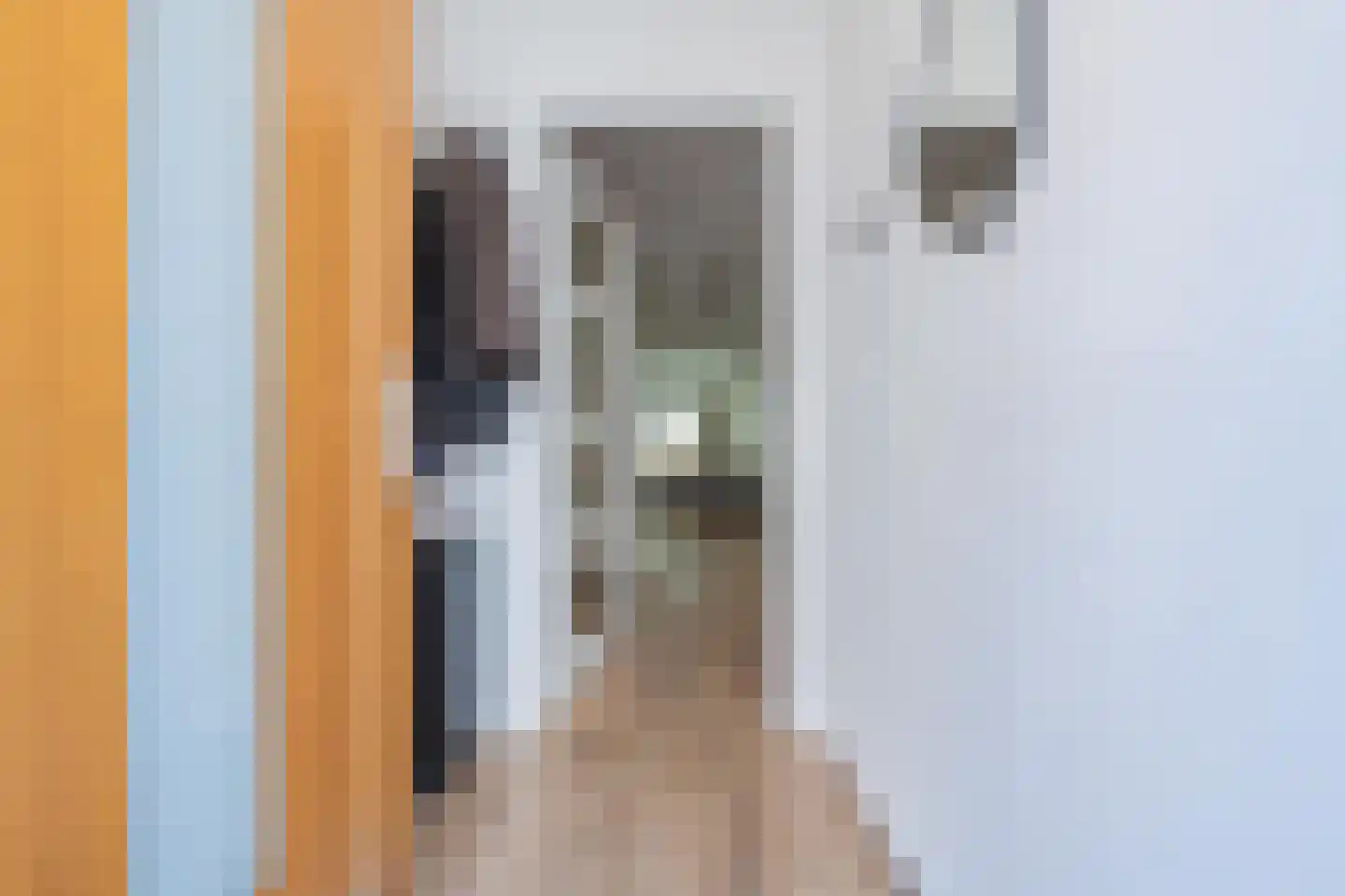 Tolhuisstraat 37 Tiel thumbnail 8