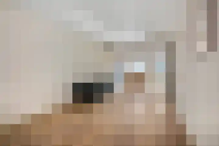 Tolhuisstraat 39 Tiel thumbnail 10