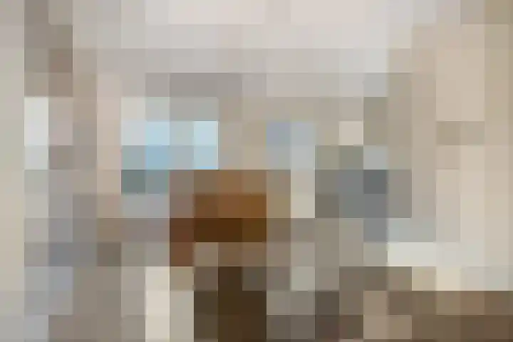 Tolhuisstraat 39 Tiel thumbnail 14