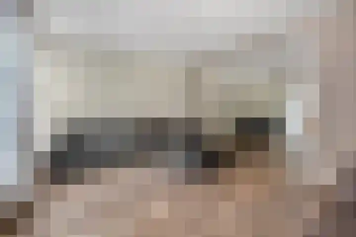 Tolhuisstraat 39 Tiel thumbnail 4