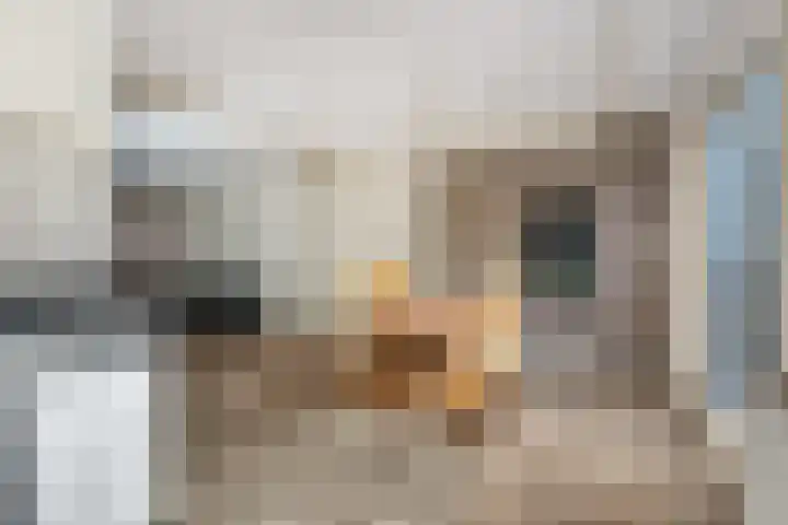 Tolhuisstraat 39 Tiel thumbnail 5