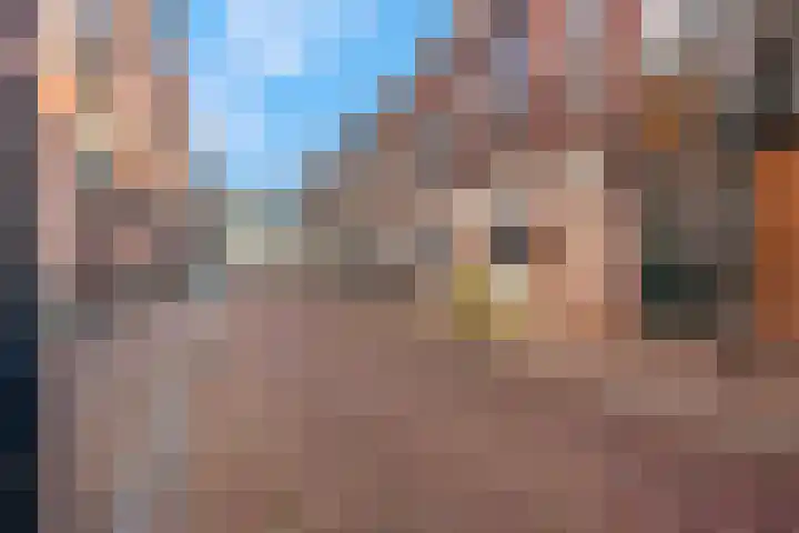 Tolhuisstraat 39 Tiel thumbnail 6