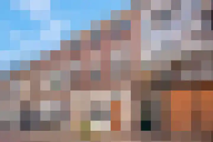 Tolhuisstraat 39 Tiel thumbnail 7
