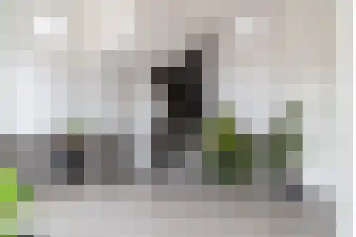 Tolhuisstraat 6 B Rotterdam thumbnail 23